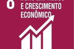 Ciclo de Estudos ODS 8 - Crescimento Econômico