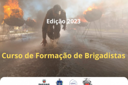 Brigadas