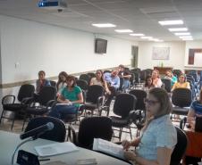 Videoconferência PNAISP